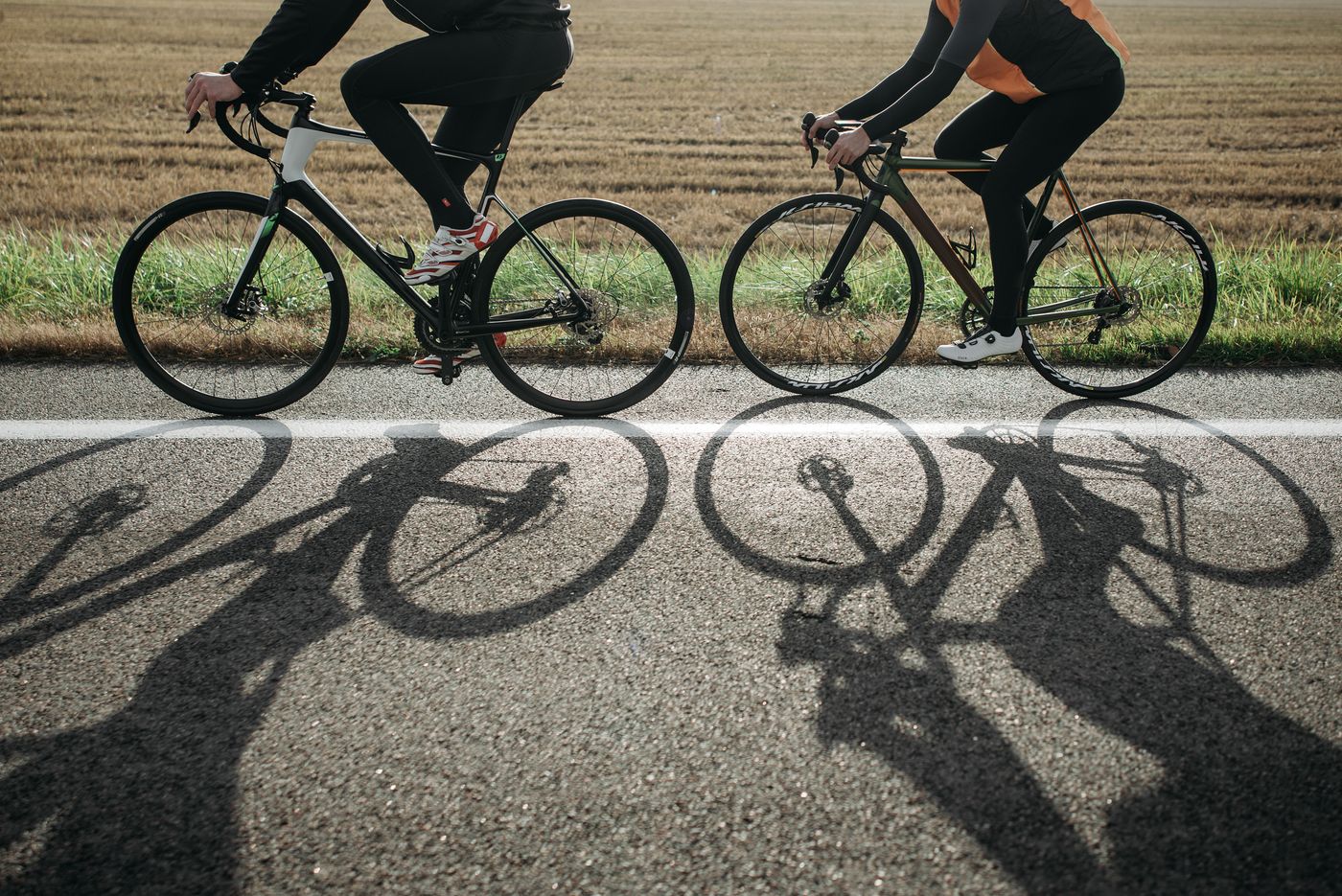 Cyclist in warm Delta light